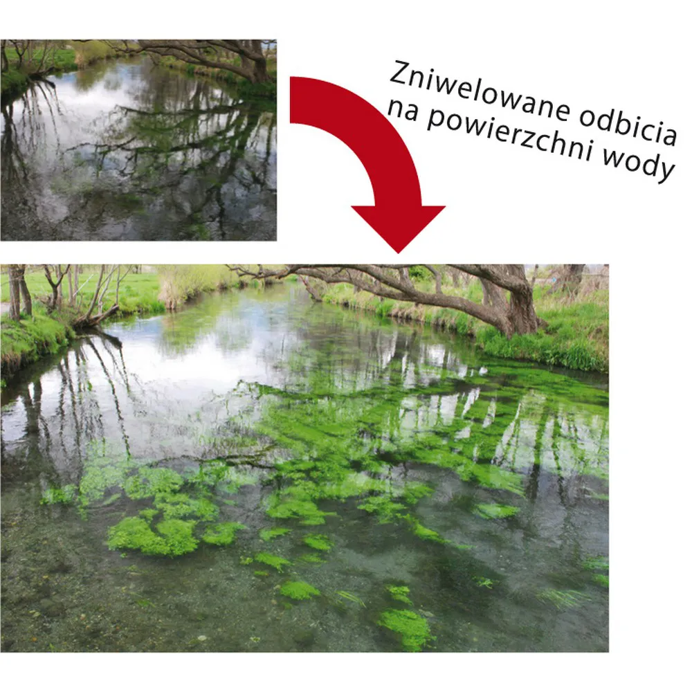 Filtr polaryzacyjny kołowy Marumi DHG Circular PL 82 mm